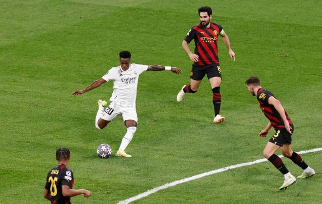 员不仅在篮 员不仅在篮