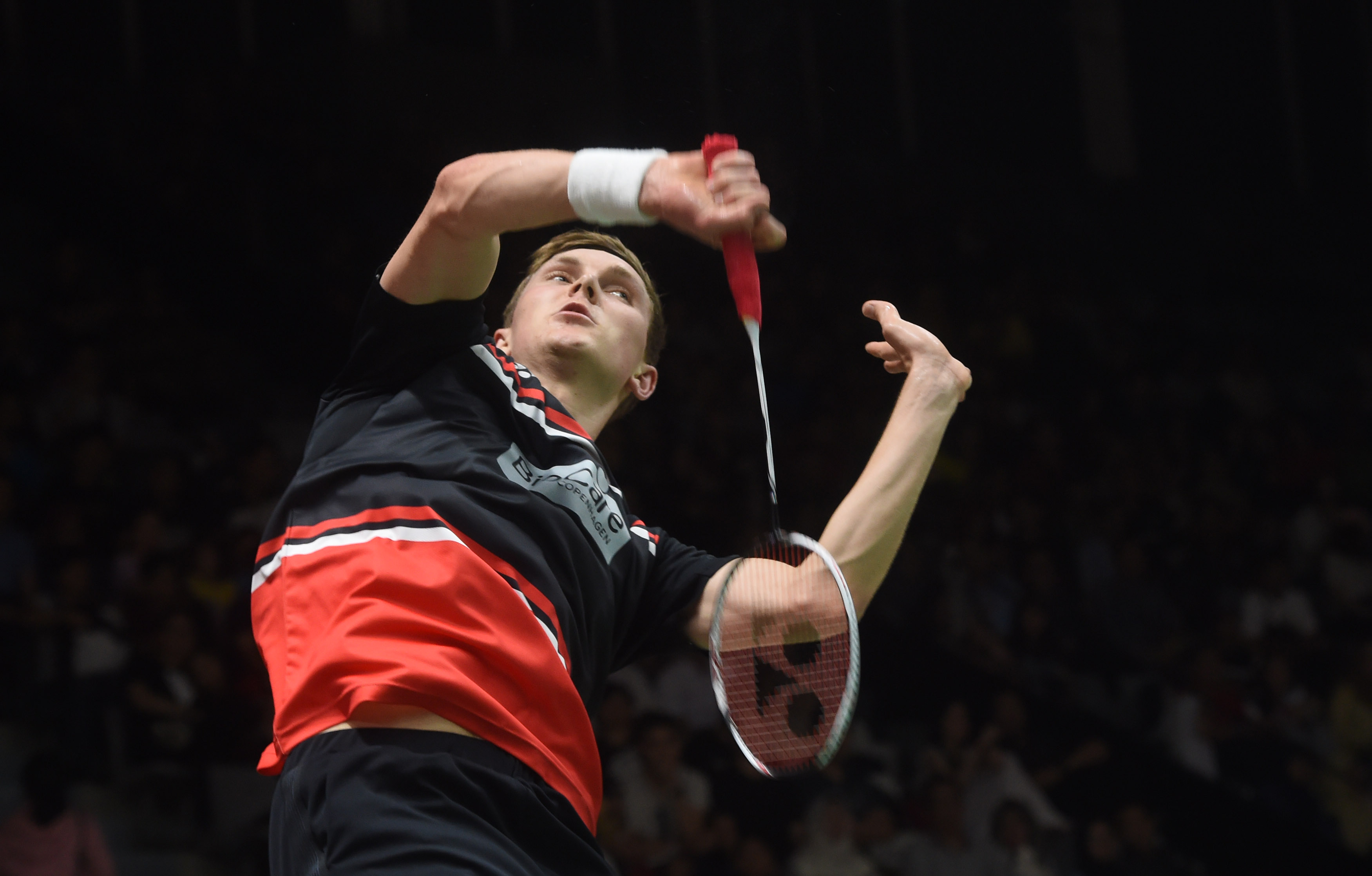 他们可能是 他们可能是