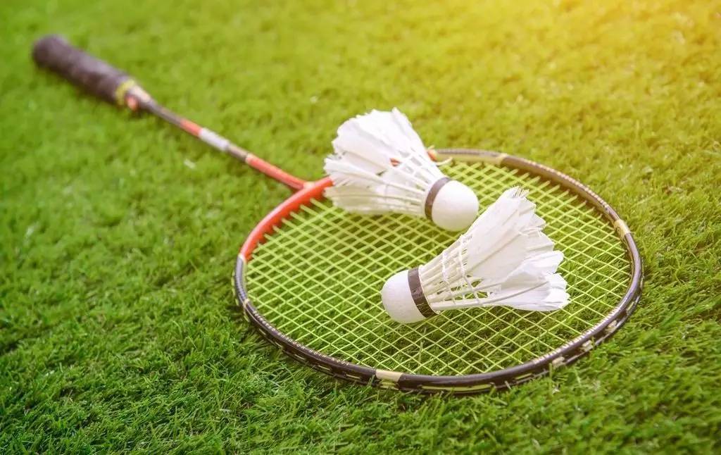 荷兰队注入 荷兰队注入